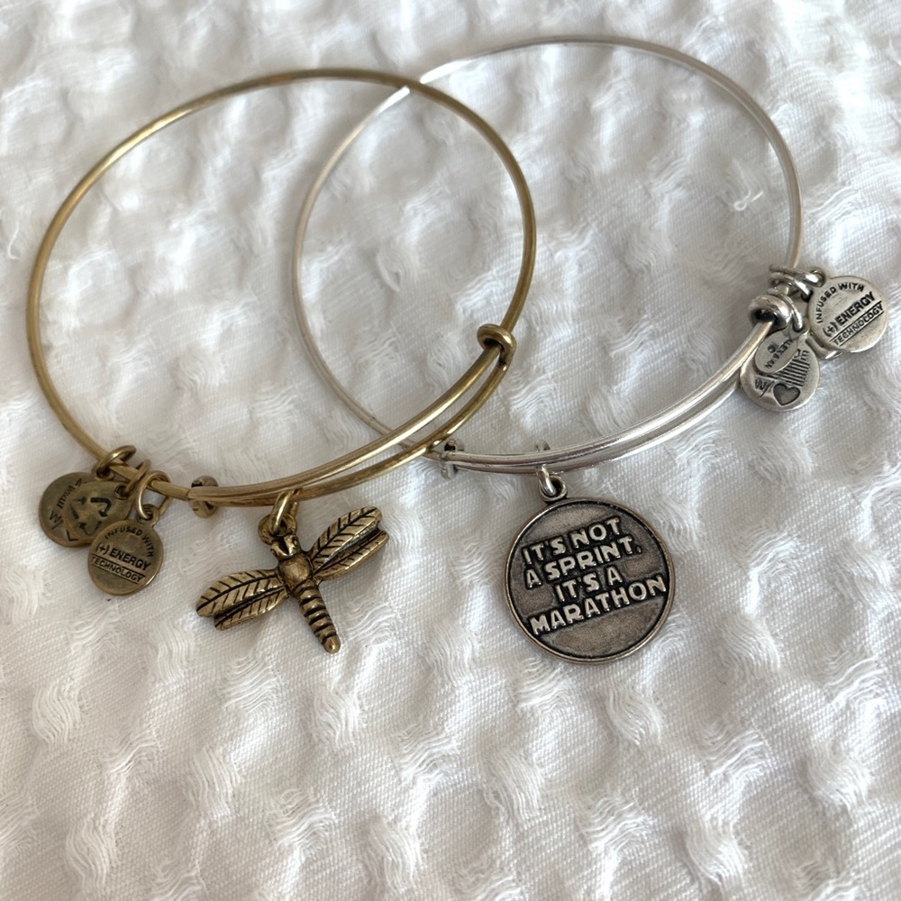 Alex and Ani Bracelet - Dragonfly